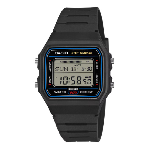CASIO