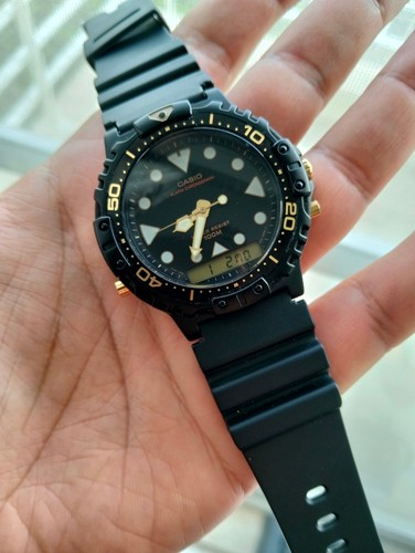 Casio 110 arnie prototype - "arnie, prototype"